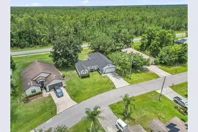 762 Toulon Drive, Kissimmee, FL 34759 - Photo 3