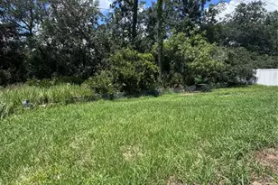 338 Kingfish Dr, Kissimmee, FL 34759 - Photo 15