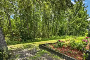 6587 Old Carriage Rd, Winter Garden, FL 34787 - Photo 7