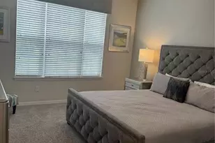 9000 Egret Mls Ter, Kissimmee, FL 34747 - Photo 3