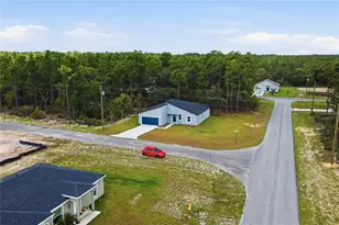 10708 N Caldera Ave, Dunnellon, FL 34433 - Photo 3