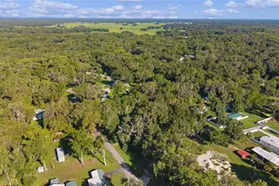 1975 E Cr412 Rd, Lake Panasoffkee, FL 33538 - Photo 5