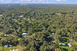 1975 E Cr412 Rd, Lake Panasoffkee, FL 33538 - Photo 3