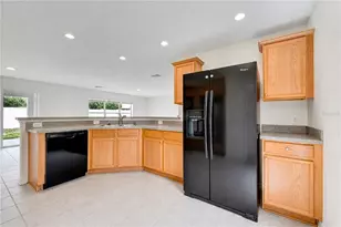 10725 Bamboo Rod Cir, Riverview, FL 33569 - Photo 7