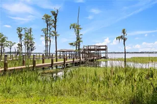 10355 Trout Rd, Orlando, FL 32836 - Photo 83