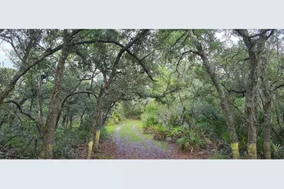 6150 SW 126th Avenue, Cedar Key, FL 32625 - Photo 3