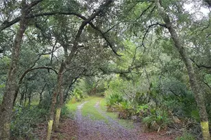 6150 SW 126th Ave, Cedar Key, FL 32625 - Photo 3