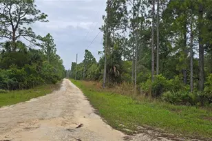 6150 SW 126th Ave, Cedar Key, FL 32625 - Photo 9