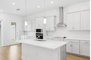 16453 Hamlin Vw St, Winter Garden, FL 34787 - Photo 7