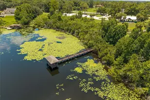 2512 Tryon Pl, Windermere, FL 34786 - Photo 59