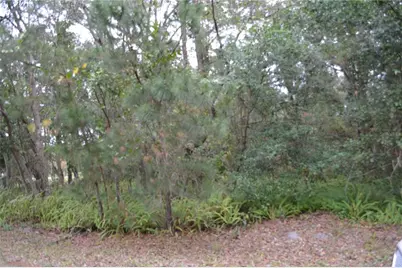 0 Lincoln Street, Sanford, FL 32771 - Photo 3