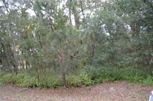 0 Lincoln St, Sanford, FL 32771 - Photo 3