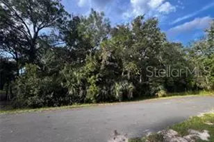 Sioux Trail, Kissimmee, FL 34747 - Photo 1