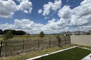 3329 Orange Rose Loop, Apopka, FL 32712 - Photo 39