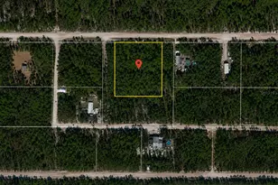 NE 239th St, Fort Mc Coy, FL 32134 - Photo 1