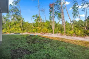 30643 Apricot Ave, Eustis, FL 32736 - Photo 51