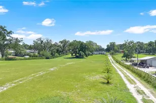 4850 W Ponkan Rd, Apopka, FL 32712 - Photo 15