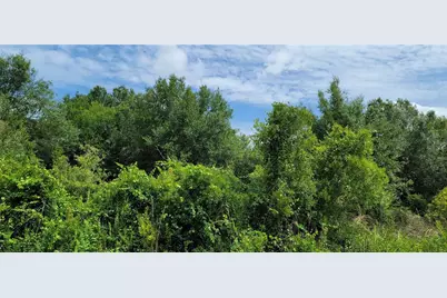 20366 NW 270th Street, Okeechobee, FL 34972 - Photo 21