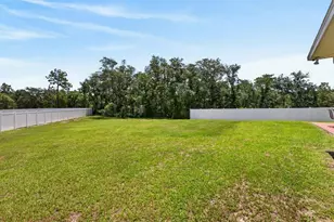 417 Rio Grande Ct, Kissimmee, FL 34759 - Photo 3
