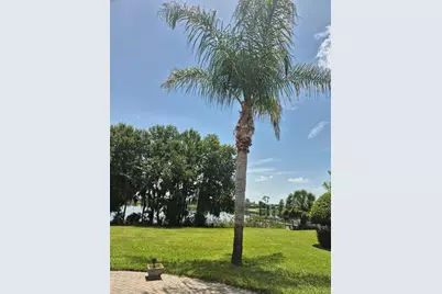 389 Nolane Lane, Polk City, FL 33868 - Photo 9