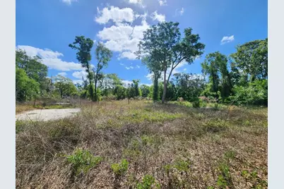 947 Ferne Drive, Longwood, FL 32779 - Photo 3