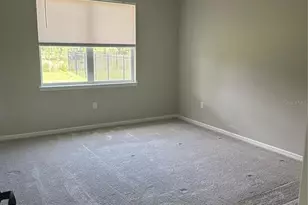 17663 Saw Palmetto Ave, Clermont, FL 34714 - Photo 11