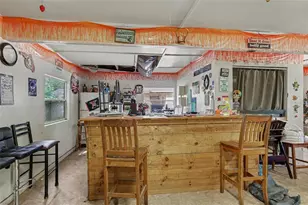 13395 SE 106th Ave, Ocklawaha, FL 32179 - Photo 9