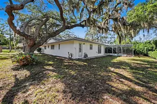 209 15th St, Palm Harbor, FL 34683 - Photo 29