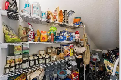 9991 Schroeder Alley, Winter Garden, FL 34787 - Photo 17