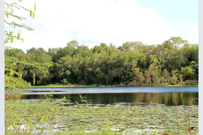 3179 Foxwood Dr, Apopka, FL 32703 - Photo 65