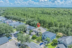 4315 Northern Dancer Way, Orlando, FL 32826 - Photo 53