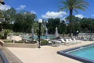 223 Peppertree Ct, Lake Mary, FL 32746 - Photo 23