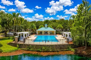 12210 Langstaff Dr, Windermere, FL 34786 - Photo 27
