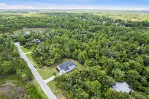 41650 Ligustrum St, Eustis, FL 32736 - Photo 45