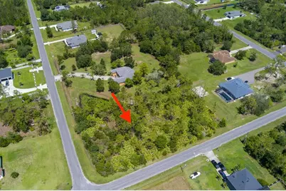 Robertson Street, Orlando, FL 32833 - Photo 5