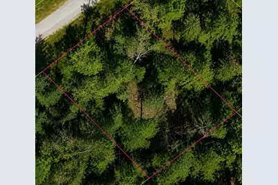 Lot 15, Bignay Road, North Port, FL 34288 - Photo 1