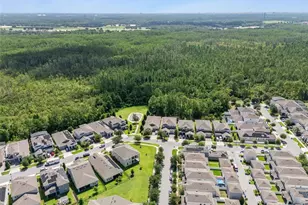 10750 Petrillo Wy, Winter Garden, FL 34787 - Photo 41