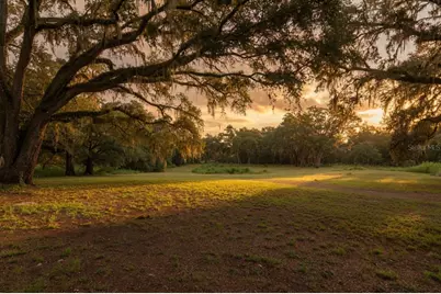 24368 Dorsey Smith Road, Brooksville, FL 34601 - Photo 17