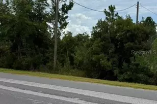 0 Nettleton St, Orlando, FL 32833 - Photo 1