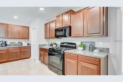 5059 White Chicory Drive, Apollo Beach, FL 33572 - Photo 19