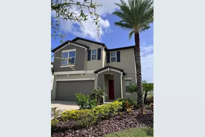 5059 White Chicory Drive, Apollo Beach, FL 33572 - Photo 3