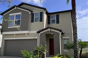 5059 White Chicory Dr, Apollo Beach, FL 33572 - Photo 3