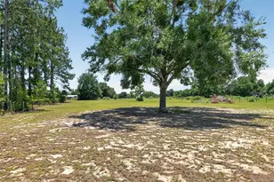 3830 Griffin View Dr, Lady Lake, FL 32159 - Photo 71