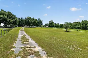 3830 Griffin View Dr, Lady Lake, FL 32159 - Photo 85