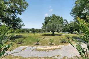 3830 Griffin View Dr, Lady Lake, FL 32159 - Photo 9