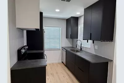 1407 Park Lake Street, Orlando, FL 32803 - Photo 3