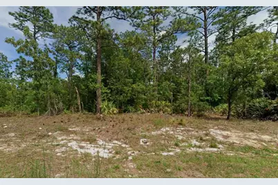 6977 N Foxdale Drive, Citrus Springs, FL 34434 - Photo 1