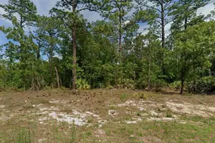 6977 N Foxdale Dr, Citrus Springs, FL 34434 - Photo 1