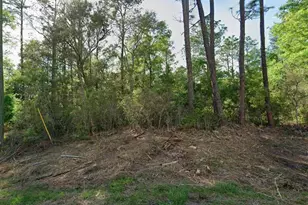10814 N Hatari Dr, Citrus Springs, FL 34434 - Photo 1