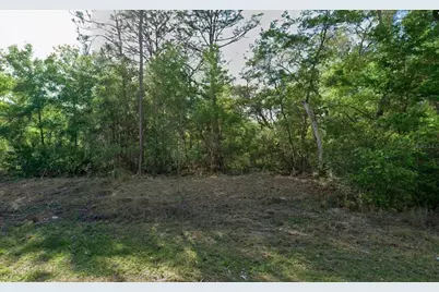 10830 N Hatari Drive, Citrus Springs, FL 34434 - Photo 1